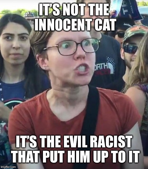 IT’S NOT THE INNOCENT CAT IT’S THE EVIL RACIST THAT PUT HIM UP TO IT | made w/ Imgflip meme maker