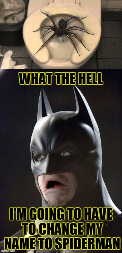 No longer afraid of bats, now spiders are his biggest fear! | WHAT THE HELL; I'M GOING TO HAVE TO CHANGE MY NAME TO SPIDERMAN | image tagged in batman gasp,spider,toilet,superheroes,i suddenly dont have to go anymore | made w/ Imgflip meme maker
