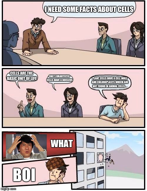 Boardroom Meeting Suggestion | I NEED SOME FACTS ABOUT CELLS; CELLS ARE THE BASIC UNIT OF LIFE; ONLY EUKARYOTIC CELLS HAVE A NUCLEUS; PLANT CELLS HAVE A CELL WALL AND CHLOROPLASTS WHICH ARE NOT FOUND IN ANIMAL CELLS. . . WHAT; BOI | image tagged in memes,boardroom meeting suggestion,scumbag | made w/ Imgflip meme maker