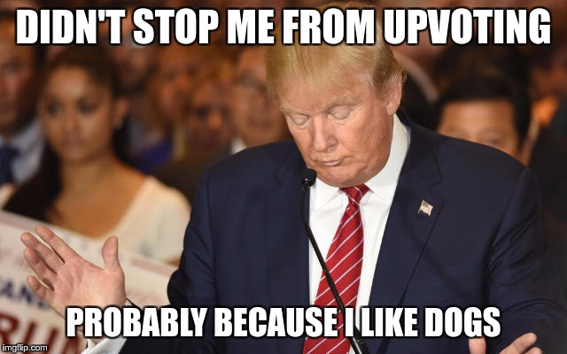 Trump Drops Ball | DIDN'T STOP ME FROM UPVOTING PROBABLY BECAUSE I LIKE DOGS | image tagged in trump drops ball | made w/ Imgflip meme maker
