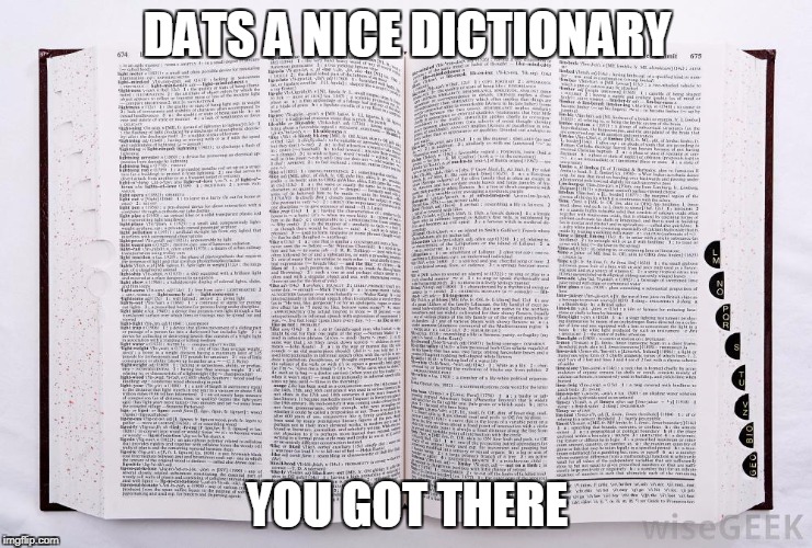 Dictioary Junk | DATS A NICE DICTIONARY; YOU GOT THERE | image tagged in 2017 | made w/ Imgflip meme maker