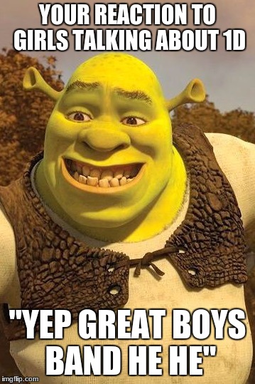 Smiling Shrek | YOUR REACTION TO GIRLS TALKING ABOUT 1D; "YEP GREAT BOYS BAND HE HE" | image tagged in smiling shrek | made w/ Imgflip meme maker