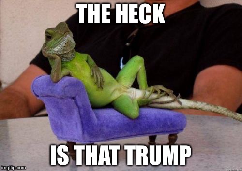 Sassy Iguana | THE HECK; IS THAT TRUMP | image tagged in memes,sassy iguana | made w/ Imgflip meme maker