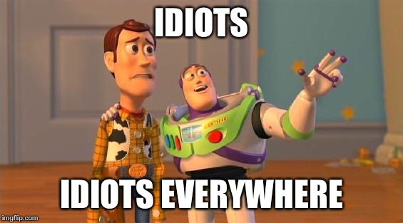TOYSTORY EVERYWHERE |  IDIOTS; IDIOTS EVERYWHERE | image tagged in toystory everywhere | made w/ Imgflip meme maker