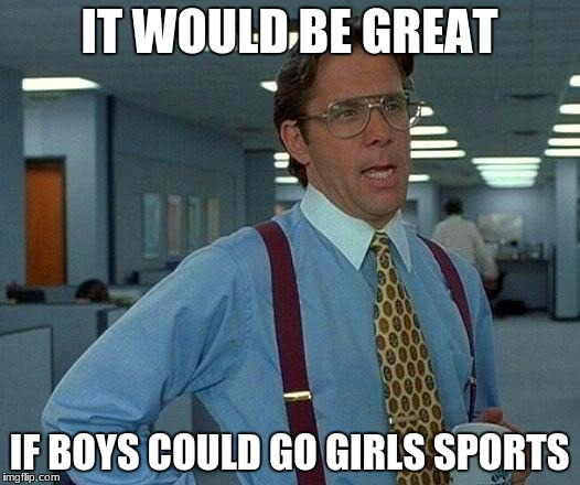 That Would Be Great | IT WOULD BE GREAT; IF BOYS COULD GO GIRLS SPORTS | image tagged in memes,that would be great | made w/ Imgflip meme maker