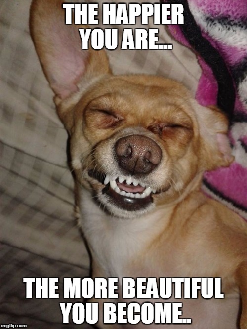 THE HAPPIER YOU ARE... THE MORE BEAUTIFUL YOU BECOME.. | image tagged in chichi happy | made w/ Imgflip meme maker