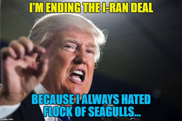 Iran/I-ran... | I'M ENDING THE I-RAN DEAL; BECAUSE I ALWAYS HATED FLOCK OF SEAGULLS... | image tagged in donald trump,memes,iran nuclear deal,flock of seagulls,music,politics | made w/ Imgflip meme maker
