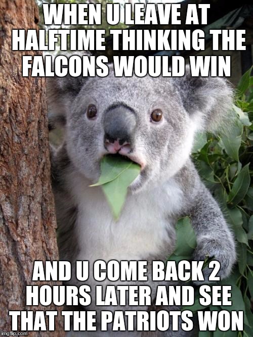 Surprised Koala | WHEN U LEAVE AT HALFTIME THINKING THE FALCONS WOULD WIN; AND U COME BACK 2 HOURS LATER AND SEE THAT THE PATRIOTS WON | image tagged in memes,surprised koala | made w/ Imgflip meme maker
