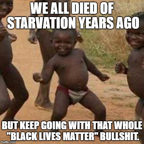 Death of Success | WE ALL DIED OF STARVATION YEARS AGO; BUT KEEP GOING WITH THAT WHOLE "BLACK LIVES MATTER" BULLSHIT. | image tagged in third world success kid,blm,antifa,passive aggressive racism,racism | made w/ Imgflip meme maker