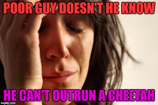 First World Problems Meme | POOR GUY DOESN'T HE KNOW HE CAN'T OUTRUN A CHEETAH | image tagged in memes,first world problems | made w/ Imgflip meme maker