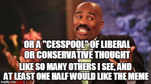 Steve Harvey Meme | OR A "CESSPOOL" OF LIBERAL OR CONSERVATIVE THOUGHT LIKE SO MANY OTHERS I SEE, AND AT LEAST ONE HALF WOULD LIKE THE MEME | image tagged in memes,steve harvey | made w/ Imgflip meme maker