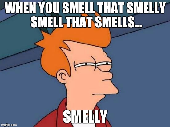 Futurama Fry Meme | WHEN YOU SMELL THAT SMELLY SMELL THAT SMELLS... SMELLY | image tagged in memes,futurama fry | made w/ Imgflip meme maker