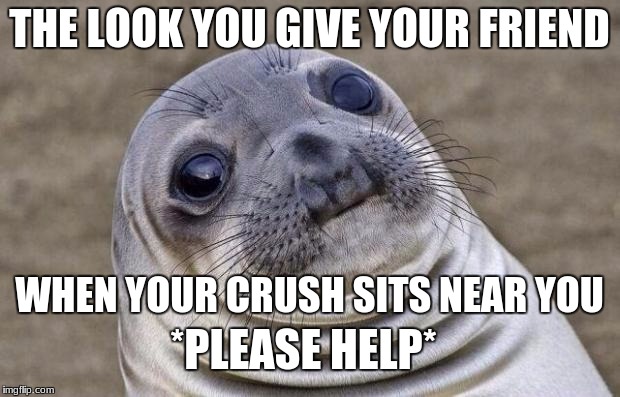 Awkward Moment Sealion | THE LOOK YOU GIVE YOUR FRIEND; WHEN YOUR CRUSH SITS NEAR YOU; *PLEASE HELP* | image tagged in memes,awkward moment sealion | made w/ Imgflip meme maker