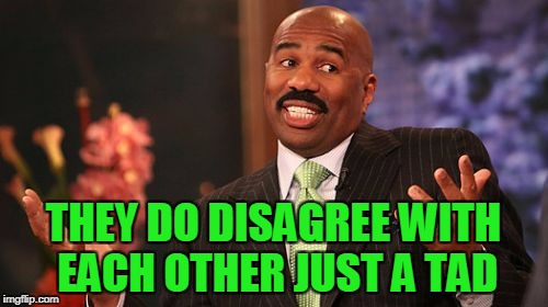 THEY DO DISAGREE WITH EACH OTHER JUST A TAD | image tagged in memes,steve harvey | made w/ Imgflip meme maker