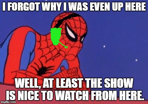 Spiderman Thinking | I FORGOT WHY I WAS EVEN UP HERE; WELL, AT LEAST THE SHOW IS NICE TO WATCH FROM HERE. | image tagged in spiderman thinking | made w/ Imgflip meme maker