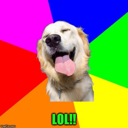 Anti Pun Dog | LOL!! | image tagged in anti pun dog | made w/ Imgflip meme maker
