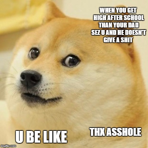 Doge Meme | WHEN YOU GET HIGH AFTER SCHOOL THAN YOUR DAD SEZ U AND HE DOESN'T GIVE A SHIT; THX ASSHOLE; U BE LIKE | image tagged in memes,doge | made w/ Imgflip meme maker