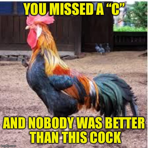 YOU MISSED A “C” AND NOBODY WAS BETTER THAN THIS COCK | made w/ Imgflip meme maker