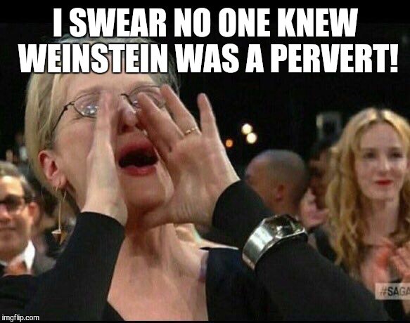 Meryl Streep  | I SWEAR NO ONE KNEW WEINSTEIN WAS A PERVERT! | image tagged in meryl streep | made w/ Imgflip meme maker