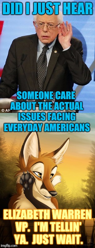 DID I JUST HEAR ELIZABETH WARREN VP.  I'M TELLIN' YA.  JUST WAIT. SOMEONE CARE ABOUT THE ACTUAL ISSUES FACING EVERYDAY AMERICANS | made w/ Imgflip meme maker