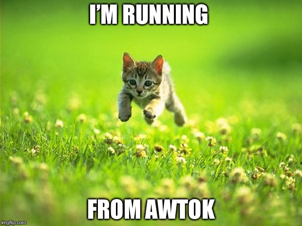 Every time I smile God Kills a Kitten |  I’M RUNNING; FROM AWTOK | image tagged in every time i smile god kills a kitten | made w/ Imgflip meme maker