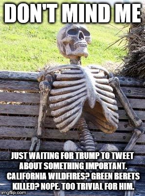 Waiting Skeleton | DON'T MIND ME; JUST WAITING FOR TRUMP TO TWEET ABOUT SOMETHING IMPORTANT. CALIFORNIA WILDFIRES? GREEN BERETS KILLED? NOPE. TOO TRIVIAL FOR HIM. | image tagged in memes,waiting skeleton | made w/ Imgflip meme maker