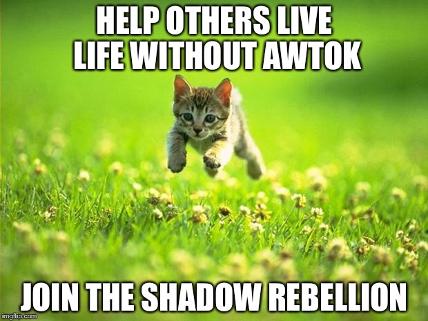 Every time I smile God Kills a Kitten |  HELP OTHERS LIVE LIFE WITHOUT AWTOK; JOIN THE SHADOW REBELLION | image tagged in every time i smile god kills a kitten | made w/ Imgflip meme maker