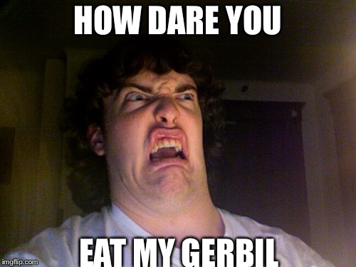 Oh No Meme | HOW DARE YOU; EAT MY GERBIL | image tagged in memes,oh no | made w/ Imgflip meme maker
