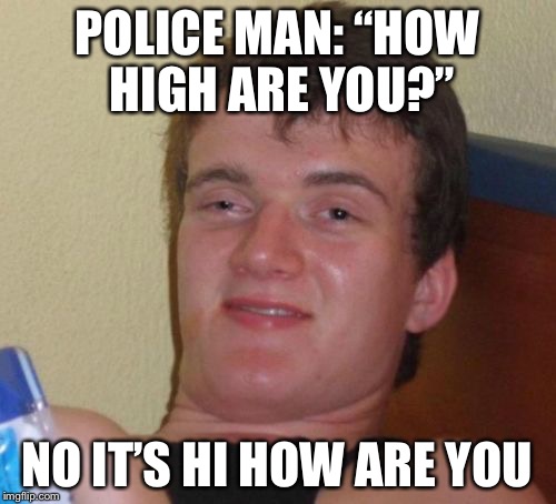 10 guy has a point | POLICE MAN: “HOW HIGH ARE YOU?”; NO IT’S HI HOW ARE YOU | image tagged in memes,10 guy | made w/ Imgflip meme maker