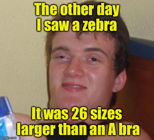 10 Guy Meme | The other day I saw a zebra; It was 26 sizes larger than an A bra | image tagged in memes,10 guy | made w/ Imgflip meme maker