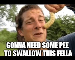 GONNA NEED SOME PEE TO SWALLOW THIS FELLA | image tagged in bear grylls | made w/ Imgflip meme maker