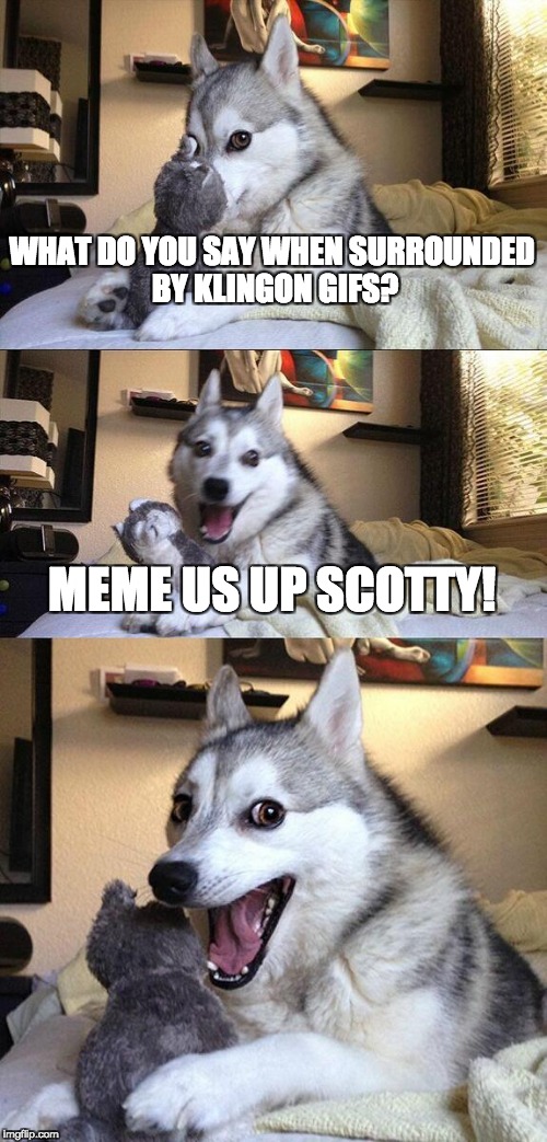 Boldly go where no pun has gone before | WHAT DO YOU SAY WHEN SURROUNDED BY KLINGON GIFS? MEME US UP SCOTTY! | image tagged in memes,bad pun dog | made w/ Imgflip meme maker