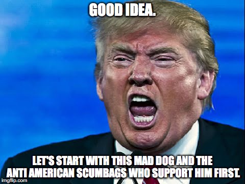 GOOD IDEA. LET'S START WITH THIS MAD DOG AND THE ANTI AMERICAN SCUMBAGS WHO SUPPORT HIM FIRST. | made w/ Imgflip meme maker