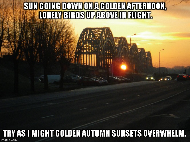 Sun Going Down | SUN GOING DOWN ON A GOLDEN AFTERNOON, LONELY BIRDS UP ABOVE IN FLIGHT. TRY AS I MIGHT GOLDEN AUTUMN SUNSETS OVERWHELM. | image tagged in the sun,birds,golden afternoon,autumn sunsets,sunsets | made w/ Imgflip meme maker