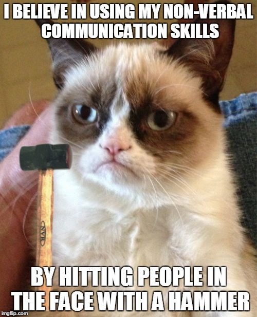 Grumpy Cat Meme | I BELIEVE IN USING MY NON-VERBAL COMMUNICATION SKILLS; BY HITTING PEOPLE IN THE FACE WITH A HAMMER | image tagged in memes,grumpy cat | made w/ Imgflip meme maker
