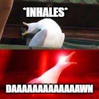 *INHALES*; DAAAAAAAAAAAAAWN | image tagged in blank inhaling seagull | made w/ Imgflip meme maker