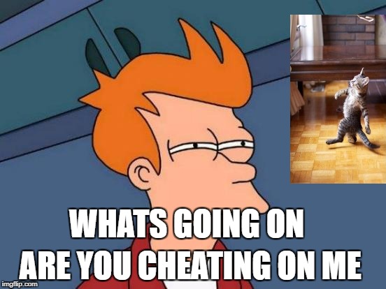 Futurama Fry Meme | ARE YOU CHEATING ON ME; WHATS GOING ON | image tagged in memes,futurama fry | made w/ Imgflip meme maker