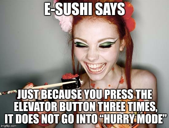 E-SUSHI’S WONDERFUL WISDOM FOR THE MASSES | E-SUSHI SAYS; JUST BECAUSE YOU PRESS THE ELEVATOR BUTTON THREE TIMES, IT DOES NOT GO INTO “HURRY MODE” | image tagged in sushi,e-sushi,memes,funny,elevator,hurry | made w/ Imgflip meme maker