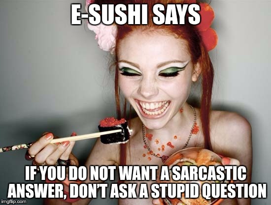 E-SUSHI’S WONDERFUL WISDOM FOR THE MASSES | E-SUSHI SAYS; IF YOU DO NOT WANT A SARCASTIC ANSWER, DON’T ASK A STUPID QUESTION | image tagged in sushi,e-sushi,memes,funny,question,answer | made w/ Imgflip meme maker