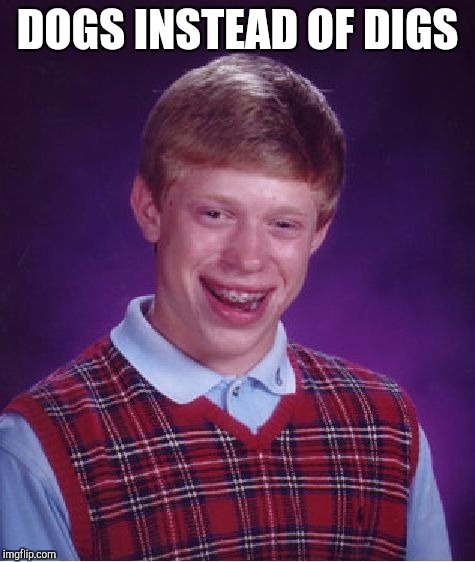 Bad Luck Brian Meme | DOGS INSTEAD OF DIGS | image tagged in memes,bad luck brian | made w/ Imgflip meme maker