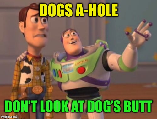 X, X Everywhere Meme | DOGS A-HOLE DON’T LOOK AT DOG’S BUTT | image tagged in memes,x x everywhere | made w/ Imgflip meme maker