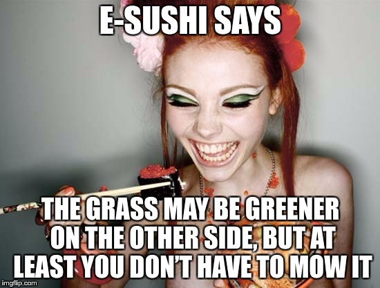 E-SUSHI’S WONDERFUL WISDOM FOR THE MASSES | E-SUSHI SAYS; THE GRASS MAY BE GREENER ON THE OTHER SIDE, BUT AT LEAST YOU DON’T HAVE TO MOW IT | image tagged in sushi,e-sushi,memes,funny,grass,greener | made w/ Imgflip meme maker