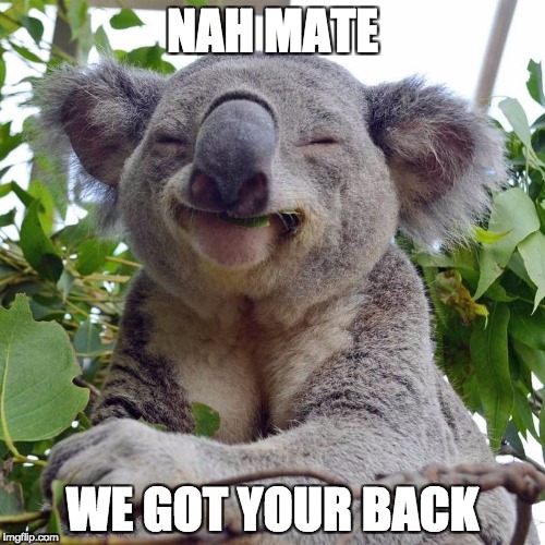 Koalafied | NAH MATE; WE GOT YOUR BACK | image tagged in koalafied | made w/ Imgflip meme maker