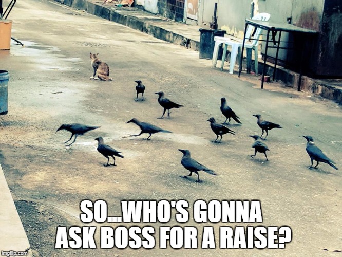 SO...WHO'S GONNA ASK BOSS FOR A RAISE? | made w/ Imgflip meme maker