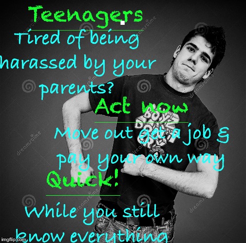 Since we officially have a teenager in the house now I thought I would do a teenager meme  | . | image tagged in teenager,know everything,pain in the ass | made w/ Imgflip meme maker