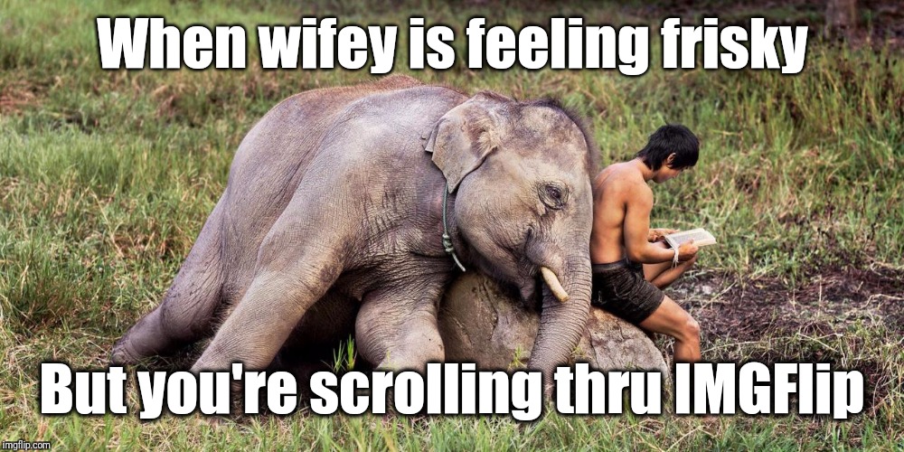 Honey, not now! | When wifey is feeling frisky; But you're scrolling thru IMGFlip | image tagged in funny,imgflip | made w/ Imgflip meme maker