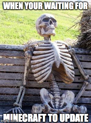 Waiting Skeleton Meme | WHEN YOUR WAITING FOR; MINECRAFT TO UPDATE | image tagged in memes,waiting skeleton | made w/ Imgflip meme maker