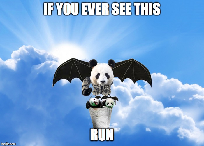 IF YOU EVER SEE THIS; RUN | image tagged in weird | made w/ Imgflip meme maker