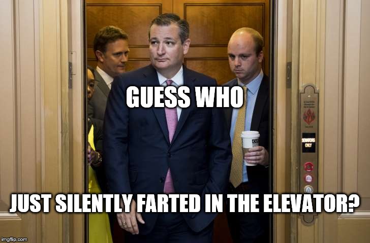 GUESS WHO; JUST SILENTLY FARTED IN THE ELEVATOR? | image tagged in cruz elevator | made w/ Imgflip meme maker