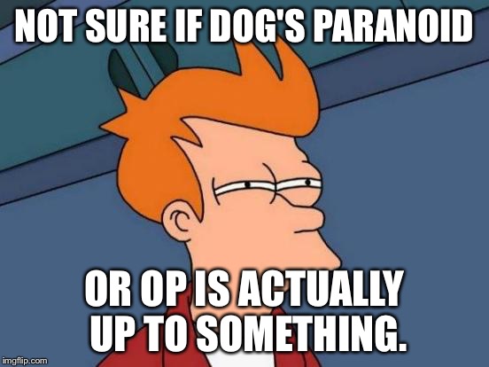 Futurama Fry Meme | NOT SURE IF DOG'S PARANOID; OR OP IS ACTUALLY UP TO SOMETHING. | image tagged in memes,futurama fry | made w/ Imgflip meme maker